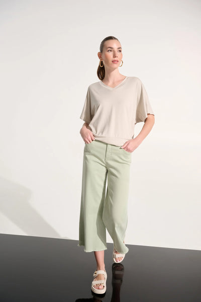 JOSEPH RIBKOFF 262918