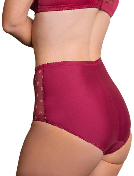 FIT FULLY YOURS U2493 Carmen Brief: WITH TUMMY CONTROL 5 colours